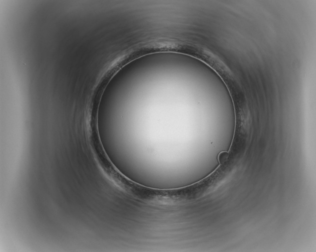 X0000112860538200908211323