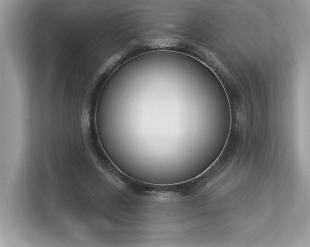 X0000112860539200908211323