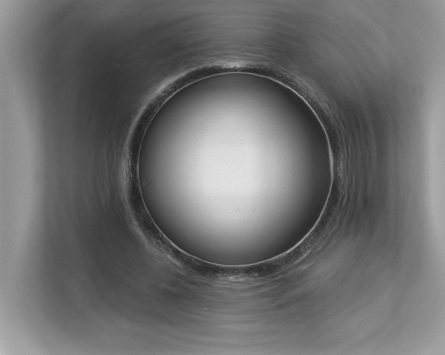 X0000112860540200908211323