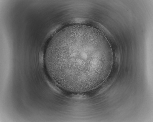 X0000112860542200908211323