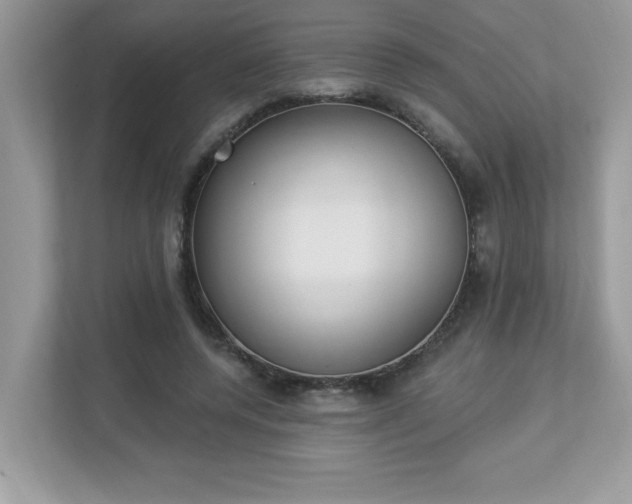 X0000112860544200908211323