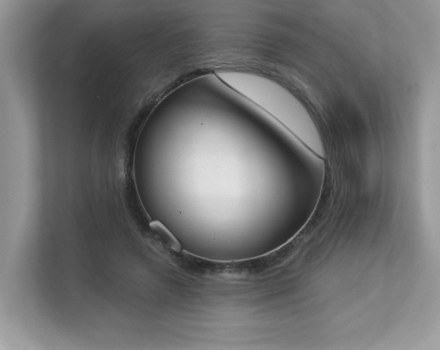 X0000112860546200908211323
