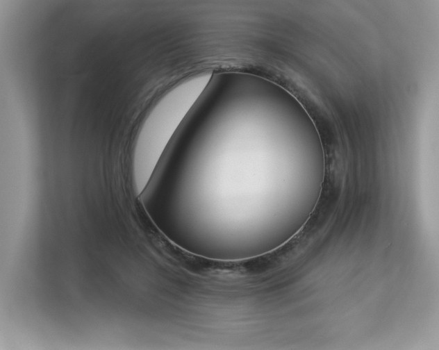X0000112860548200908211323