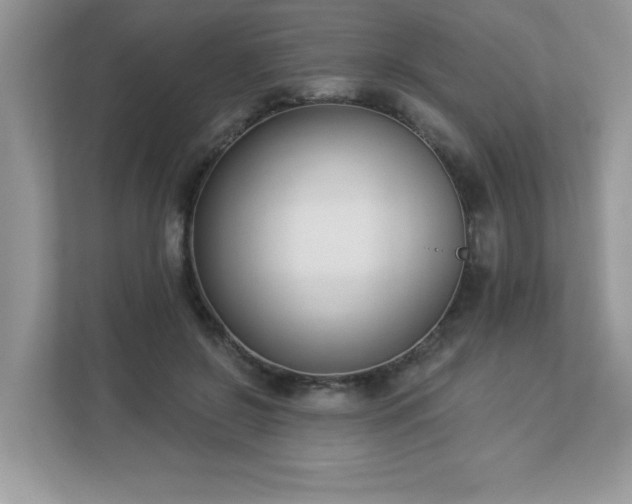 X0000112860550200908211323