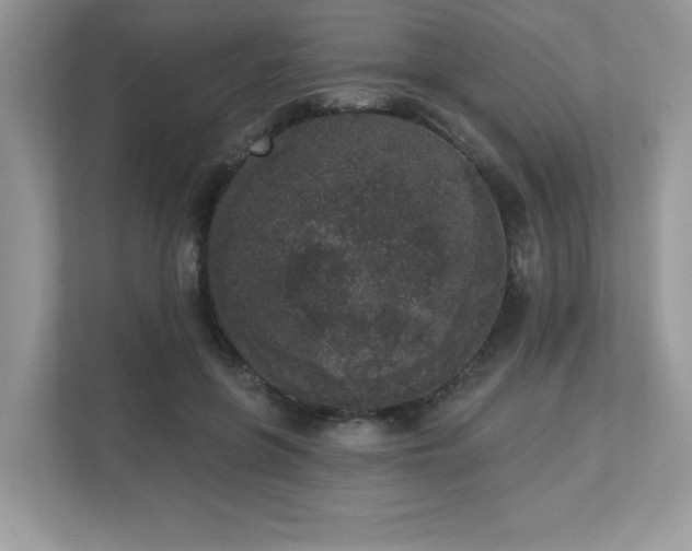 X0000112860551200908211323