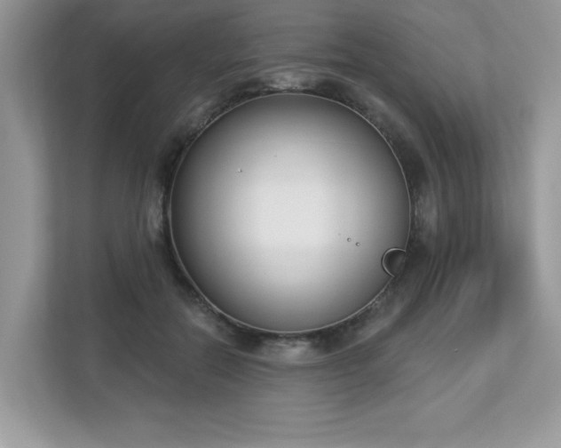 X0000112860554200908211323