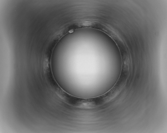 X0000112860555200908211323