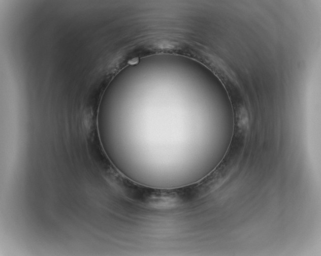 X0000112860559200908211323