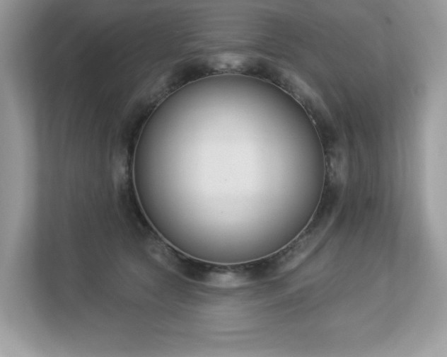 X0000112860561200908211323