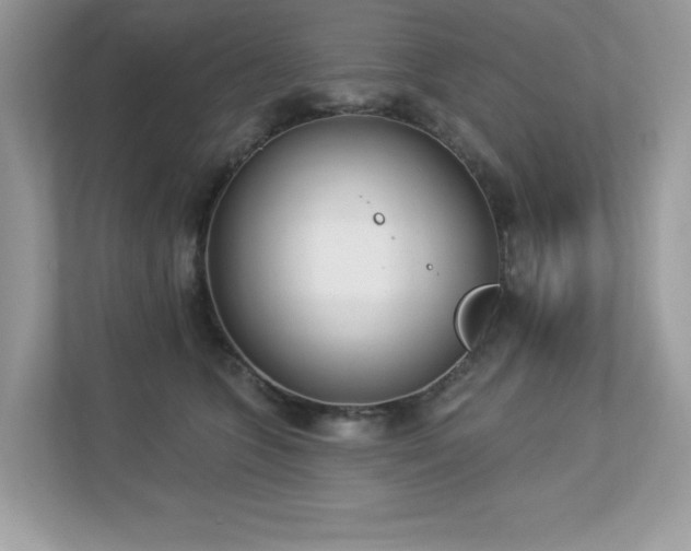 X0000112860563200908211323