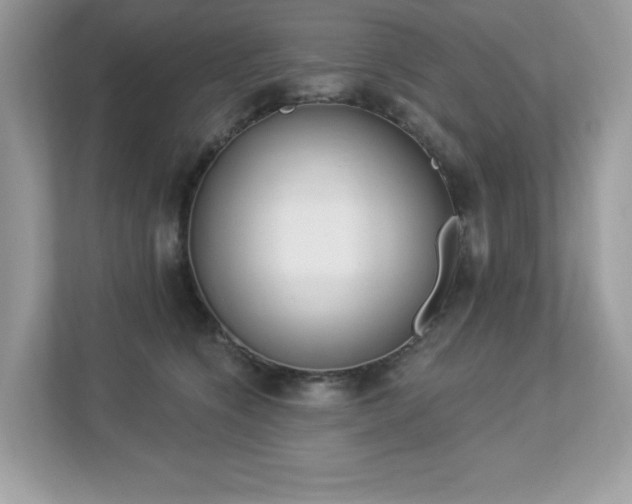 X0000112860564200908211323