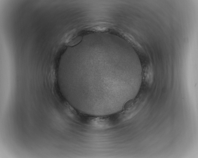 X0000112860568200908211323