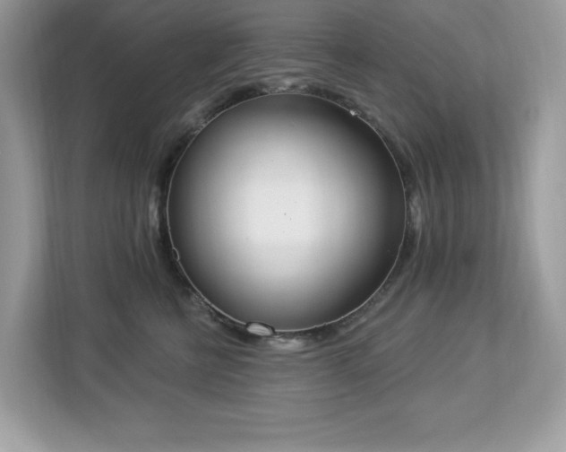X0000112860570200908211323