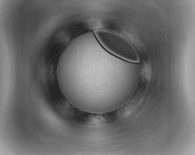 X0000112860572200908211323