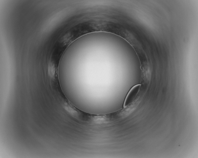 X0000112860574200908211323