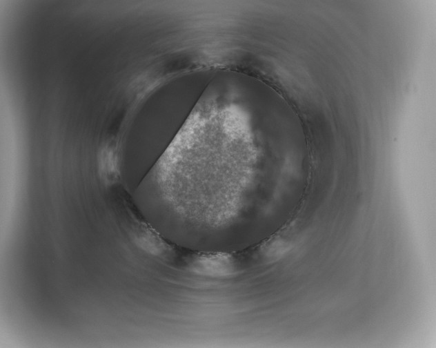 X0000112860576200908211323