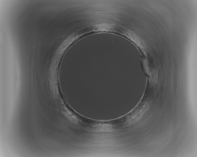 X0000112860577200908211323