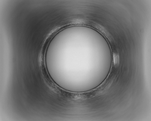 X0000112860579200908211323