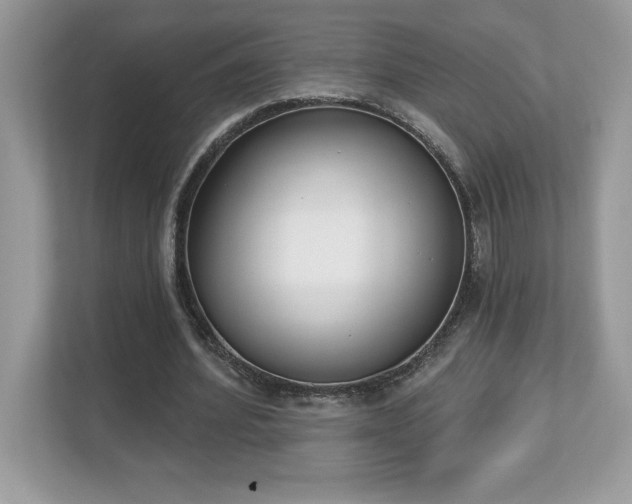 X0000112860580200908211323