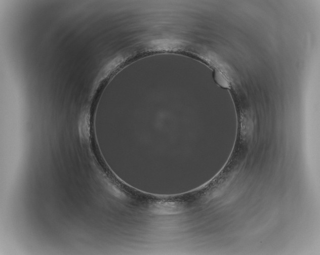 X0000112860581200908211323