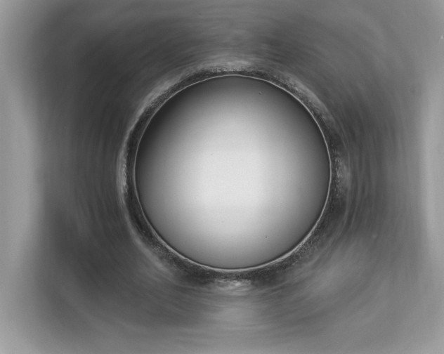 X0000112860582200908211322