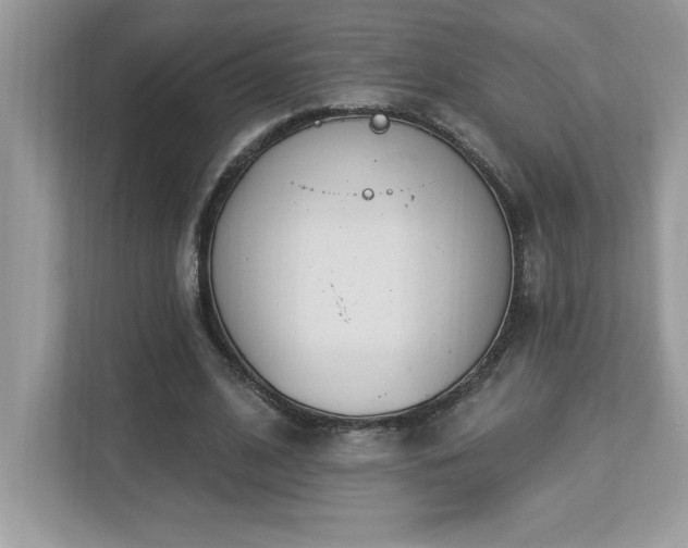 X0000112860584200908211322