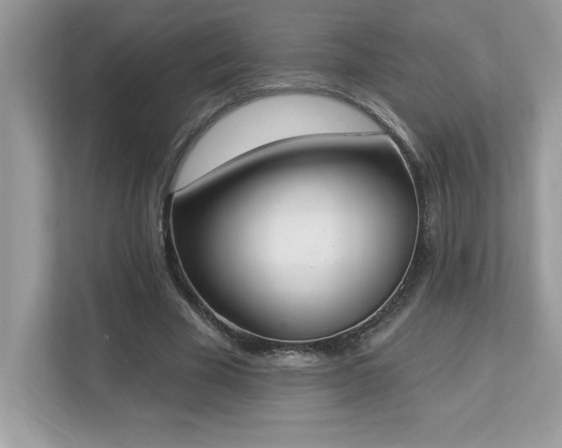 X0000112860585200908211322