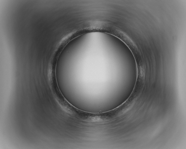 X0000112860588200908211322
