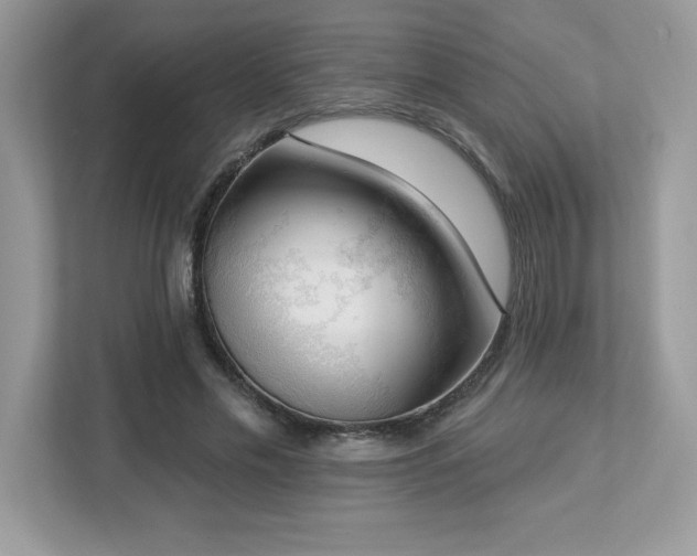 X0000112860589200908211322