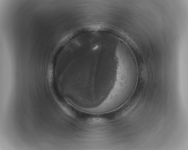 X0000112860590200908211322