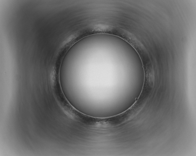 X0000112860591200908211322