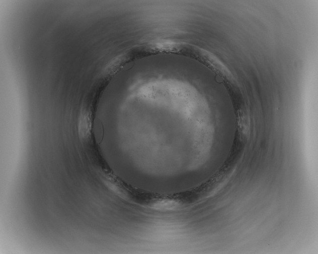 X0000112860593200908211322