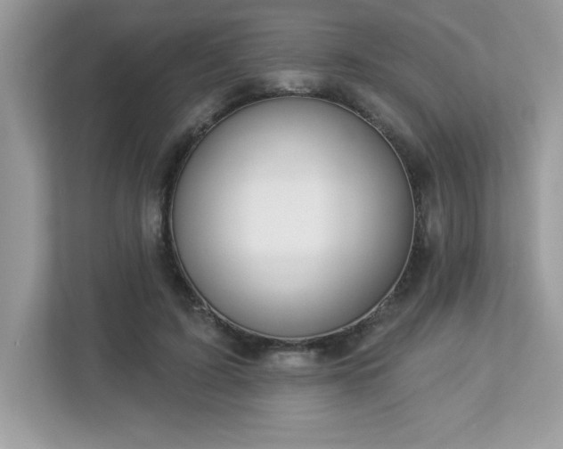X0000112860595200908211322