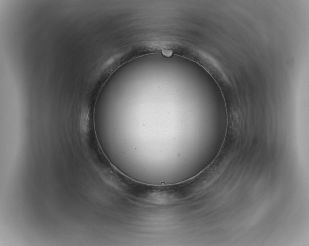 X0000112860596200908211322