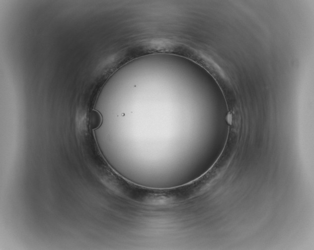 X0000112860597200908211322