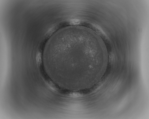 X0000112860598200908211322