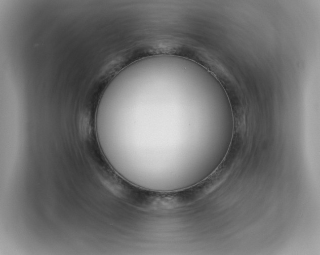 X0000112860599200908211322