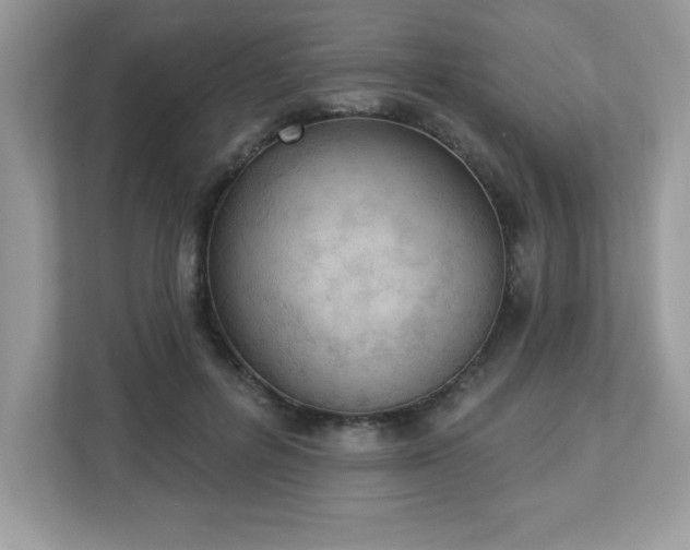 X0000112860600200908211322