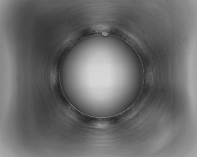 X0000112860604200908211322