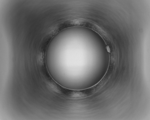 X0000112860605200908211322