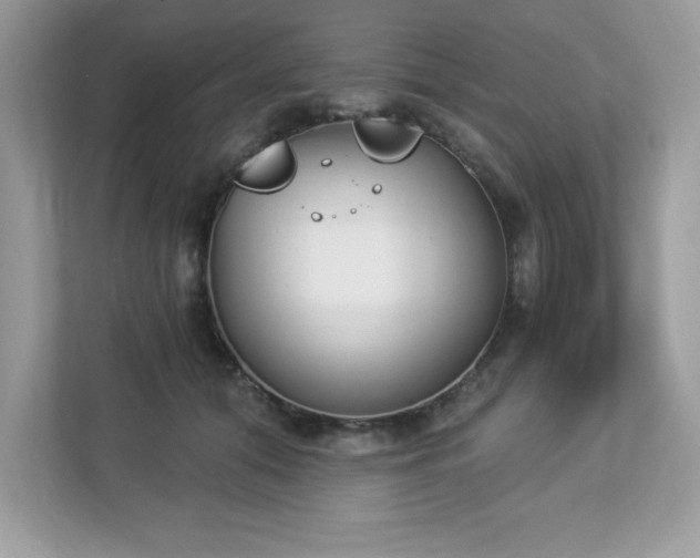 X0000112860608200908211322