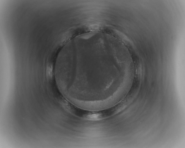 X0000112860610200908211322