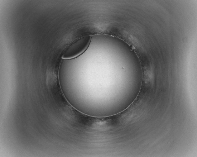 X0000112860613200908211322