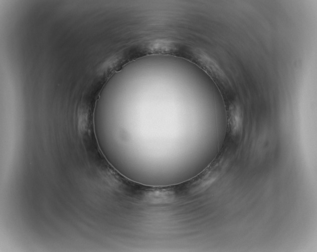 X0000112860619200908211322