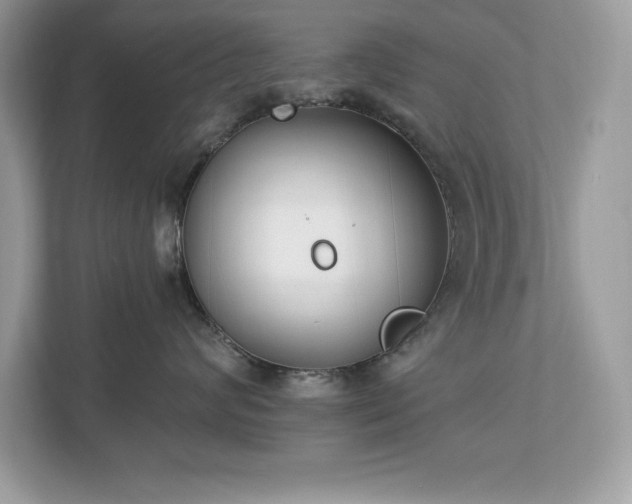 X0000112860624200908211322