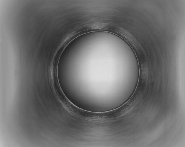X0000112860626200908211321