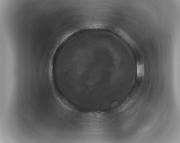 X0000112860627200908211321