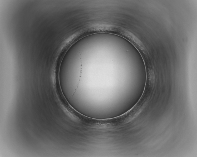 X0000112860629200908211321