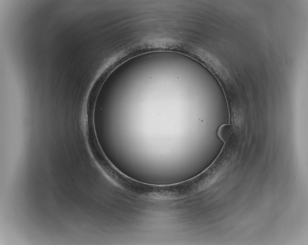 X0000112860630200908211321