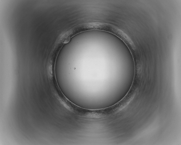 X0000112860633200908211321